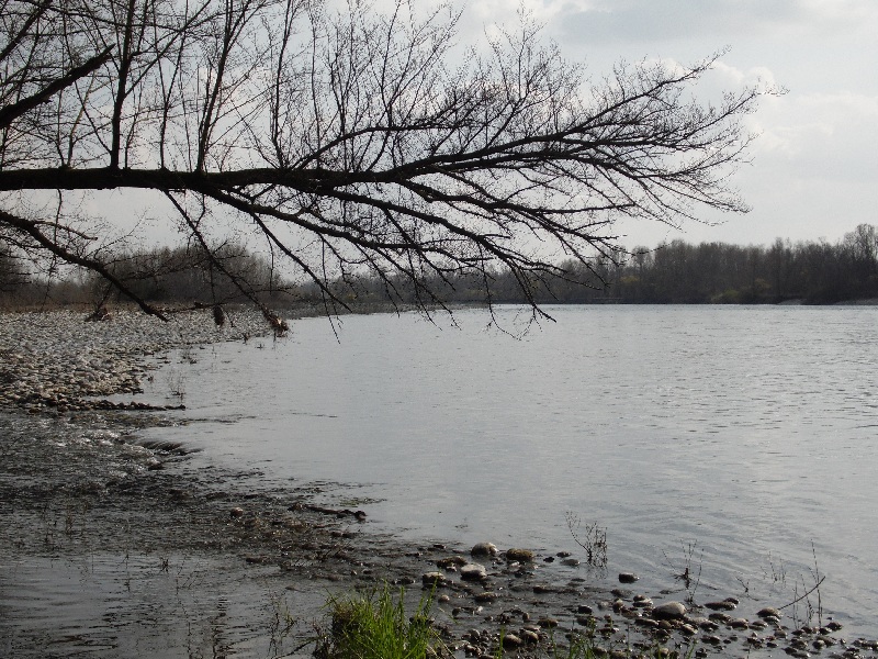 Parco del ticino 7.4.13